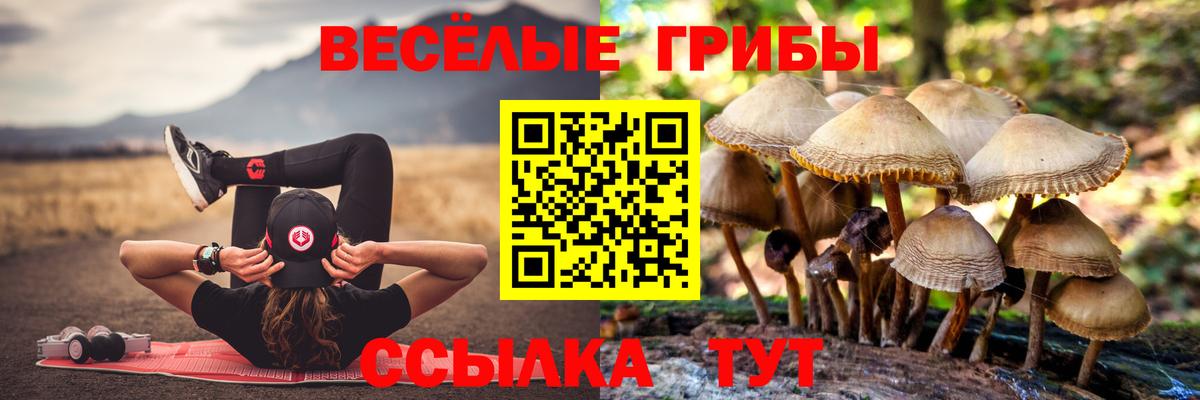 Нижневартовск  Псилоцибиновые грибы Cubensis  Вход с VPN  Галлюциногенные грибы GOLDEN TEACHER 